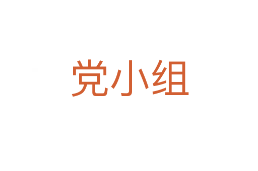 党小组