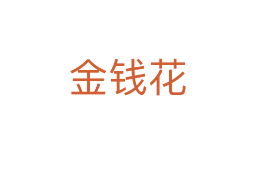 金钱花