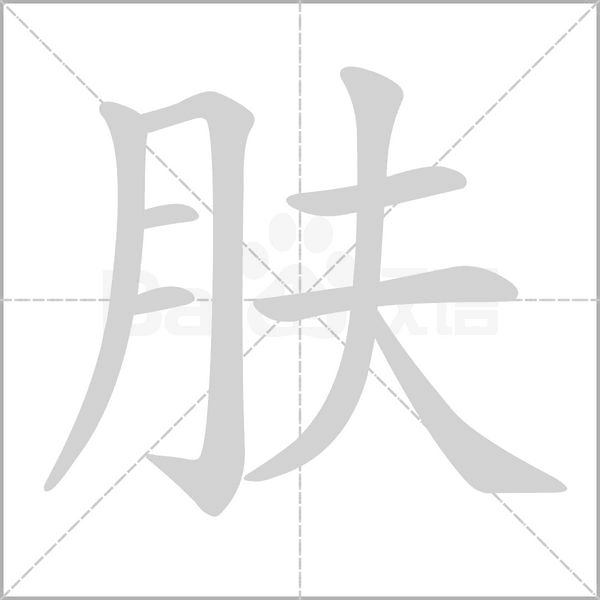 肤的笔顺动画演示